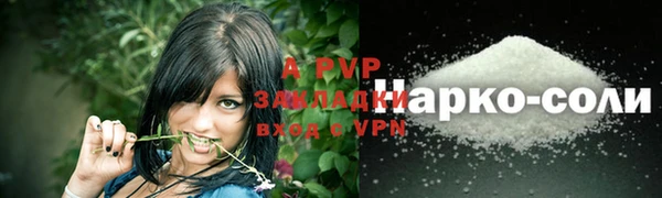 стафф Волоколамск