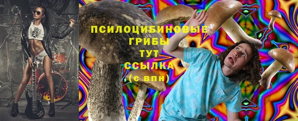 стафф Волоколамск
